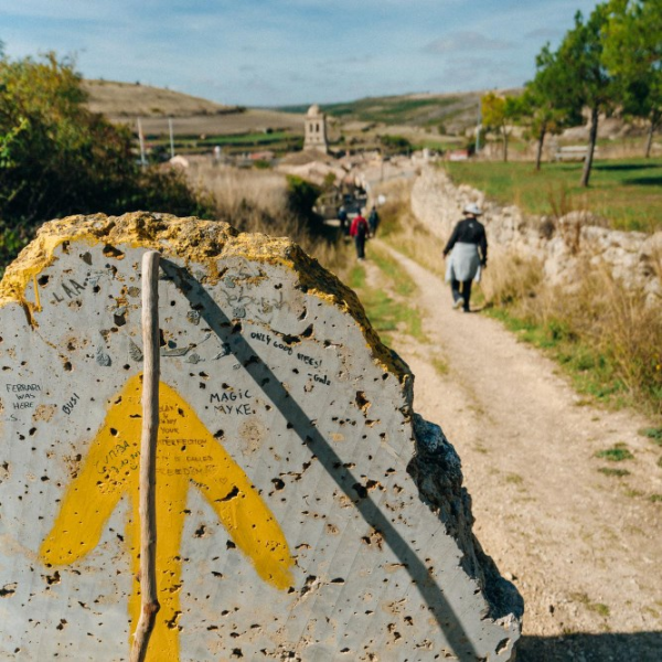 Kamino, iskanje ali pobeg