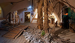 Muzej gozdarstva in lesarstva Vrbovec